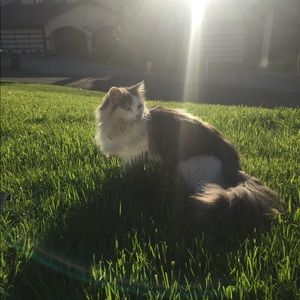 Meet your Posher, Natalie